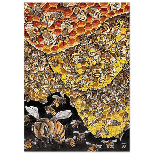 bcf0a853-6167-4e1d-8542-9ae0be1d50f0