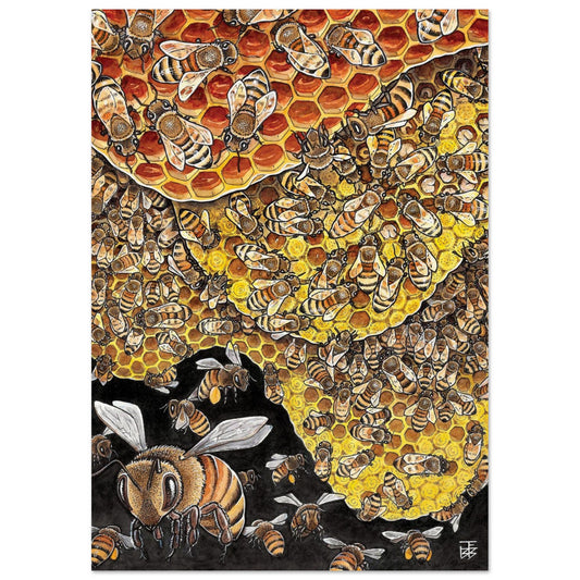 39b7daa9-60b5-4575-a6ec-9b27ac887e33