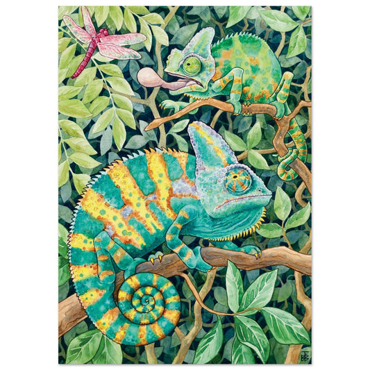 c4795e01-2adf-4cf4-990f-c0c8cc5f0c9a